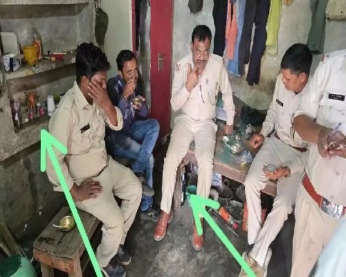 वन कर्मचारियों की शराब पार्टी का वीडियो वायरल, DFO ने कार्रवाई के दिए निर्देश